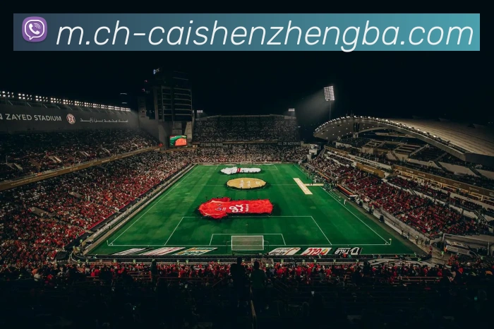 彩神争霸服务体系